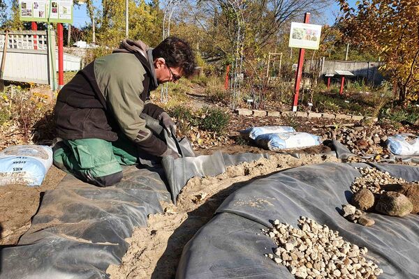 UfAZ-Mitarbeiter Matthias Schüller beim Teichbau im Wildbienenschaugarten Schöneweide (Berlin)