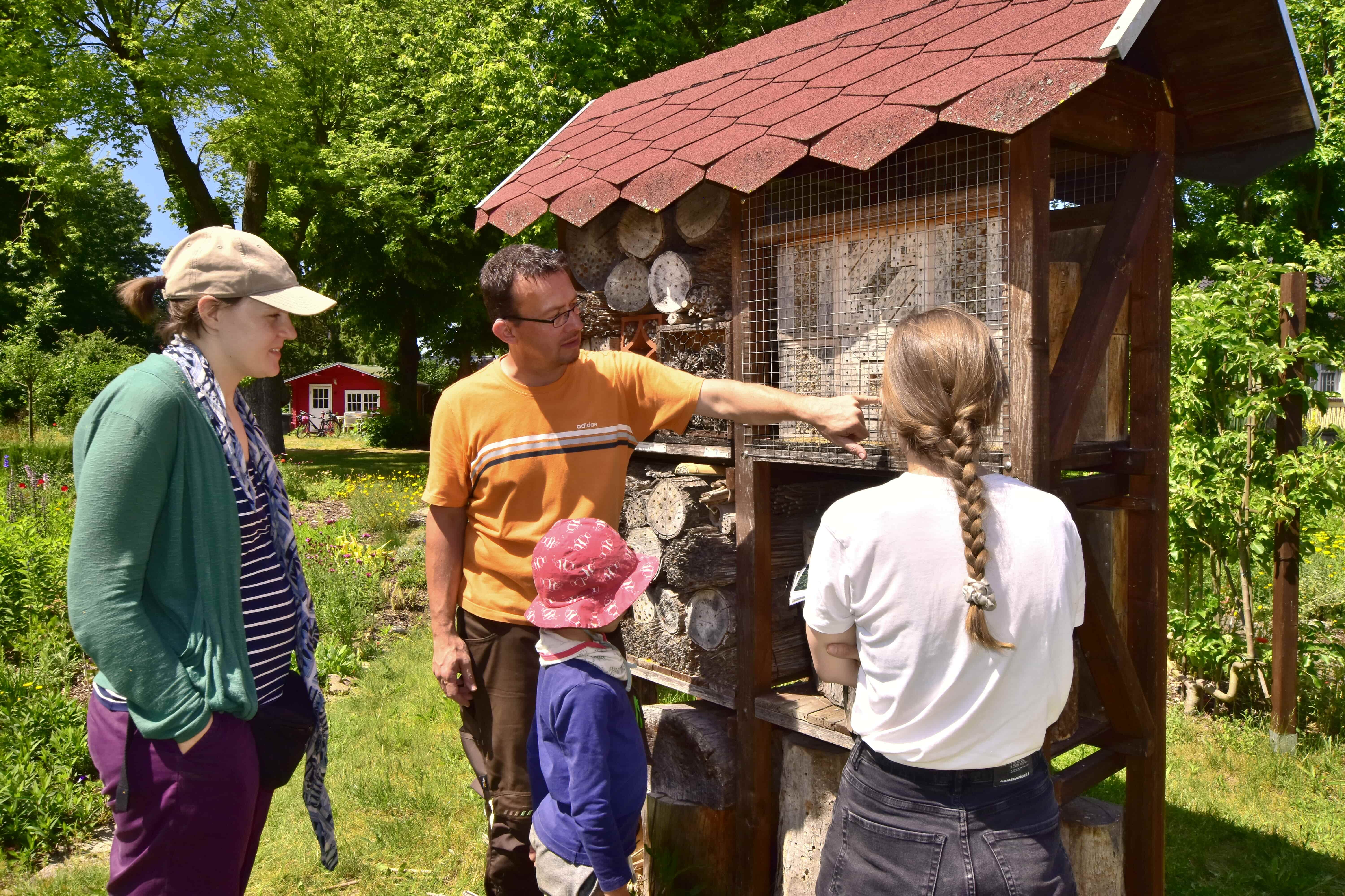 UfAZ-Mitarbeiter Matthias Schüller erklärt Details zur Wildbienennisthilfe.